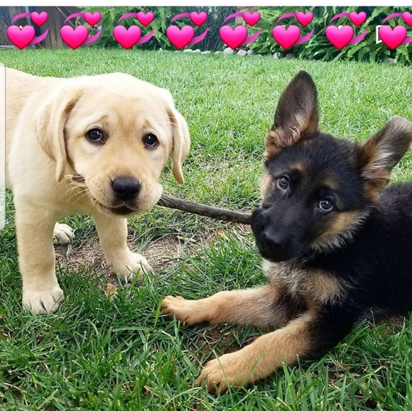 SHARE 21 OF MY LISTINGS & I'LL SHARE 21+ OF YOURS - Picture 4 of 4